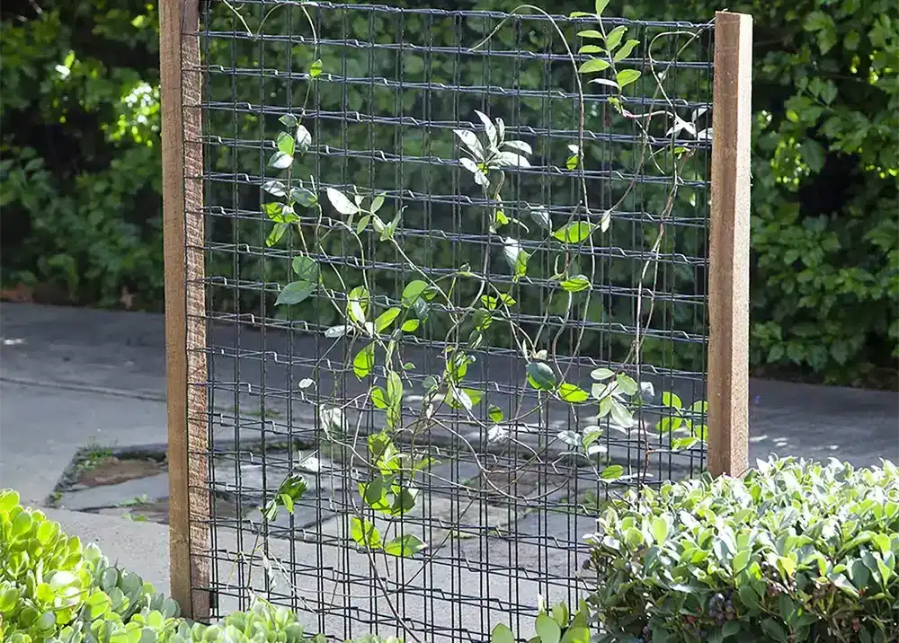 Modular mesh plant support system from Jack, perfect for training vines and creepers in structured garden layouts